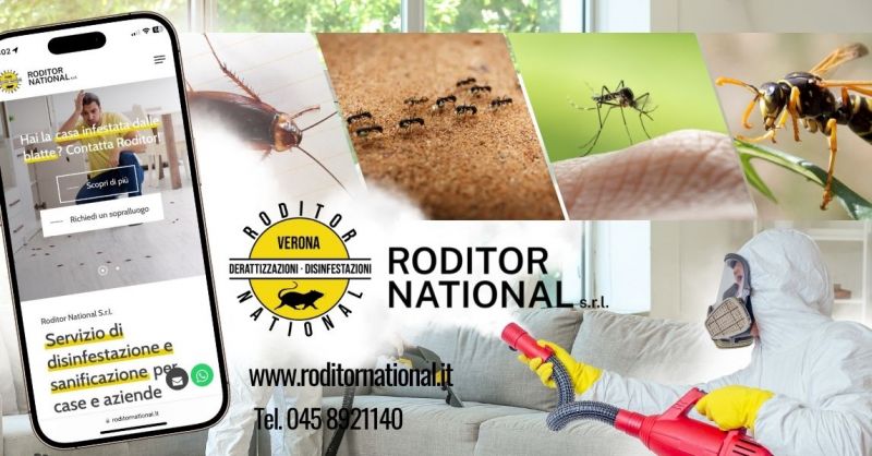 Servizio di disinfestazione insetti