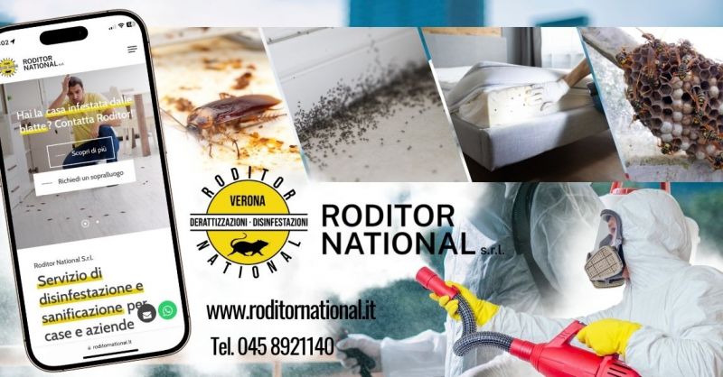 Soluzioni efficaci per infestazioni di insetti