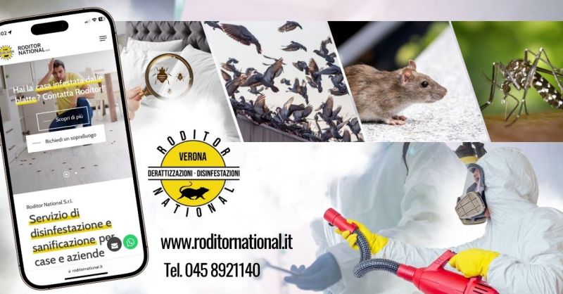 Servizio professionale di allontanamento volatili