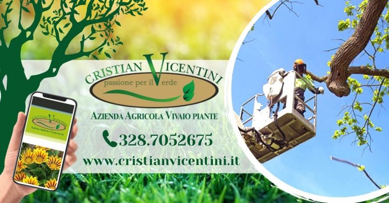  Offerta potatura alberi ad alto fusto Verona - Occasione servizio potatura abbattimento alberi Verona provincia