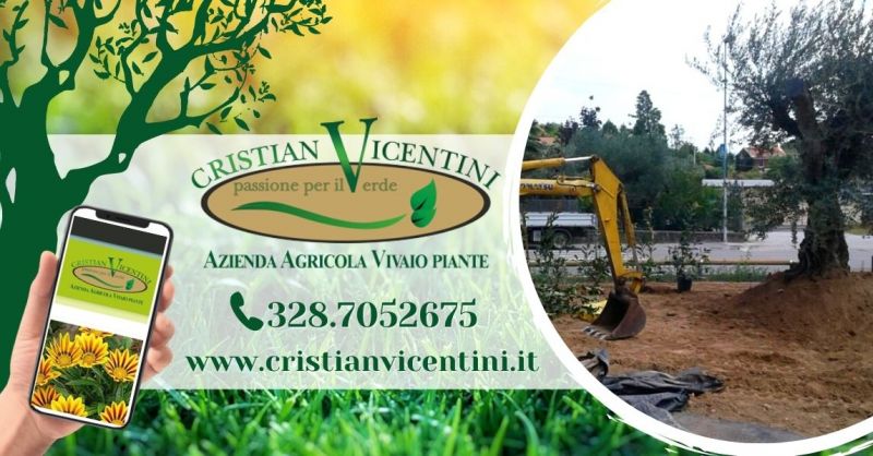  Offerta professionista manutenzione giardini aree verdi - Occasione progettazione di giardini pubblici privati Verona