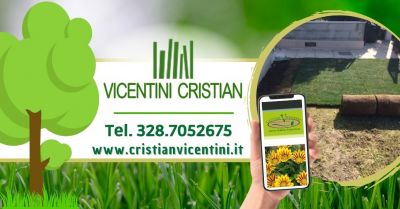 offerta servizio realizzazione nuovo giardino occasione vendita piante da giardino verona e provincia