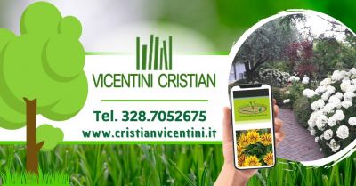 offerta vendita piante da esterno produzione propria occasione acquisto piante da cespuglio verona