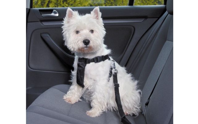 CINTURE TRIXIE PER LA SICUREZZA IN AUTOMOBILE