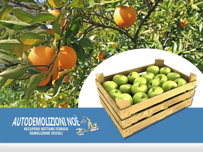 Offerta Macchinario Potatura Frutta - Occasione Macchinario raccolta Frutta - Agricola Noè