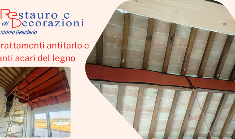 Trattamenti antitarlo e anti acari del legno