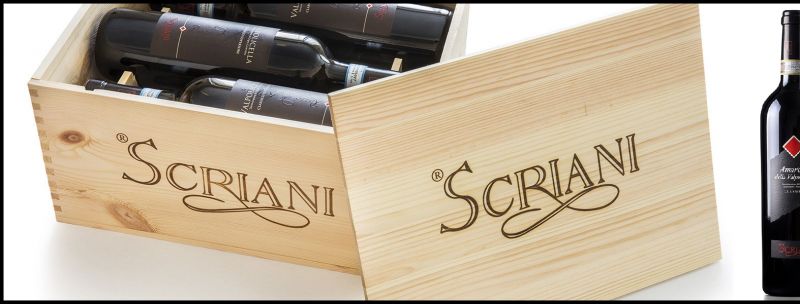 offerta SCRIANI produzione Ripasso Valpolicella - Occasione produzione vendita vini italiani  
