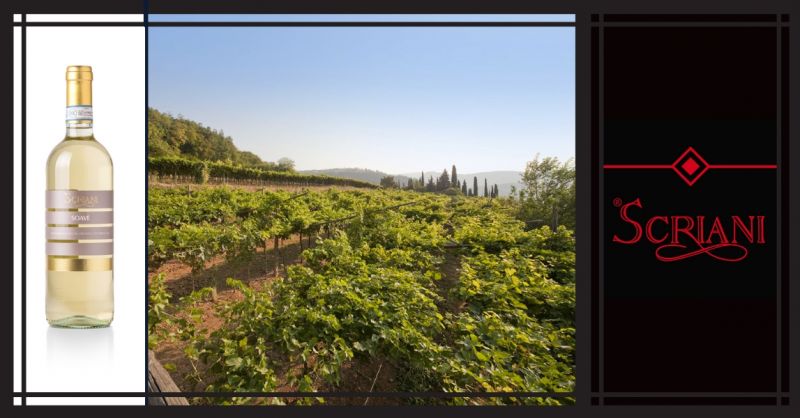  AZIENDA AGRICOLA I SCRIANI - Occasione vendita online vino SOAVE DOC Monte Forte d’Alpone