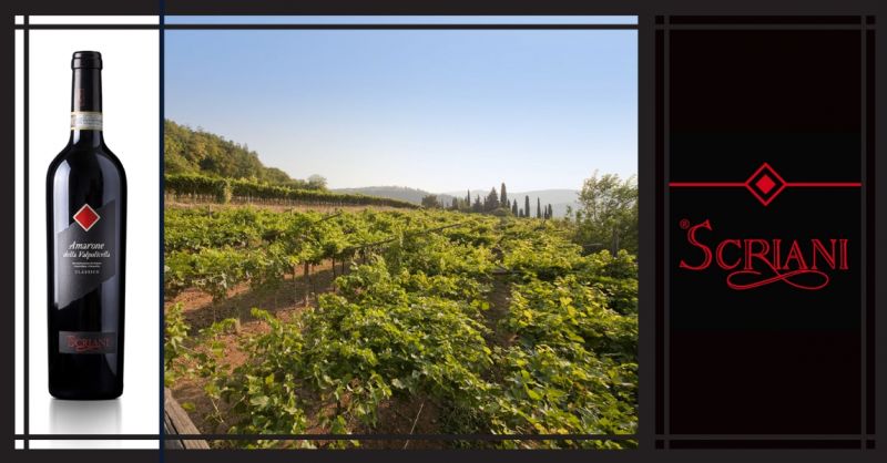 AZIENDA AGRICOLA I SCRIANI - Occasione vendita online vino Italiano Amarone della Valpolicella