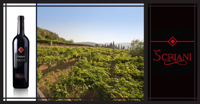 AZIENDA AGRICOLA I SCRIANI - Promozione vendita online vino Italiano Carpanè  Valpolicella