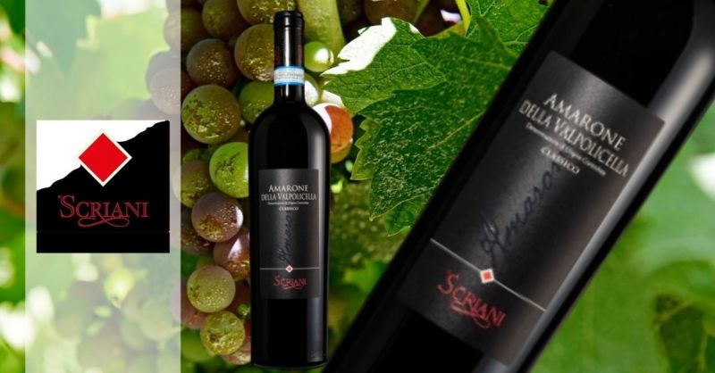 Azienda Agricola SCRIANI - Offerta miglior vino amarone della Valpolicella DOCG Classico 2009
