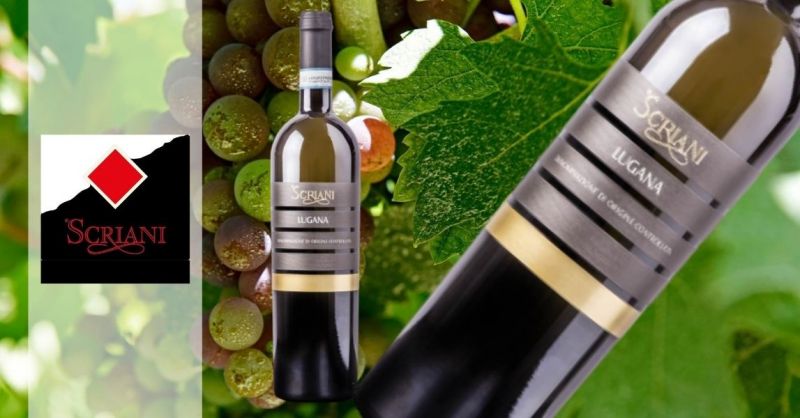 Azienda Agricola SCRIANI - Offerta vendita online vino bianco Lugana DOC 2018 uve Trebbiano