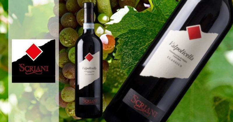  Azienda Agricola SCRIANI - Trova chi vende online vino pregiato Valpolicella DOC Classico 2021