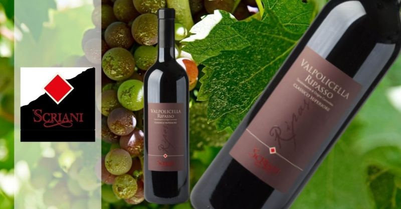 ركة مزارع سرياني – ستجد لدينا أفضل العروض على نبيذ ريباسو فالبوليسيلا الكلاسيكي المميز ذو العلامة الفاخرة