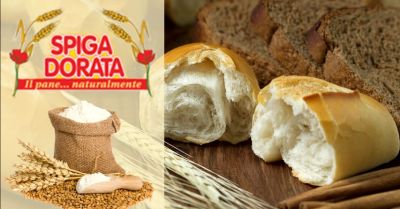 promozione fornitura pane per societa catering verona offerta produzione pane senza additivi verona