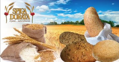 offerta fornitori di pane allingrosso occasione produzione pane integrale ai cereali provincia verona