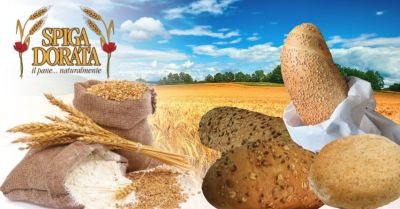 offerta trova fornitore pane allingrosso verona offerta produzione pane ai cereali integrale