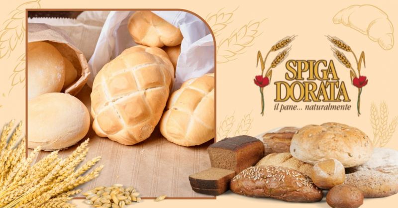 Offerta fornitura prodotti sostitutivi del pane - Occasione produzione prodotti forno artigianali Verona