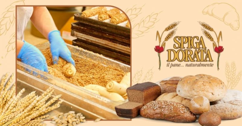 Offerta fornitura pane confezionato per supermercati - Occasione fornitore di pane per catering Verona