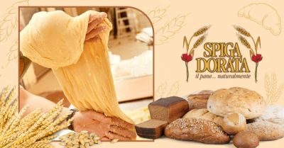 offerta fornitura pane a domicilio verona occasione produzione focacce artigianali verona