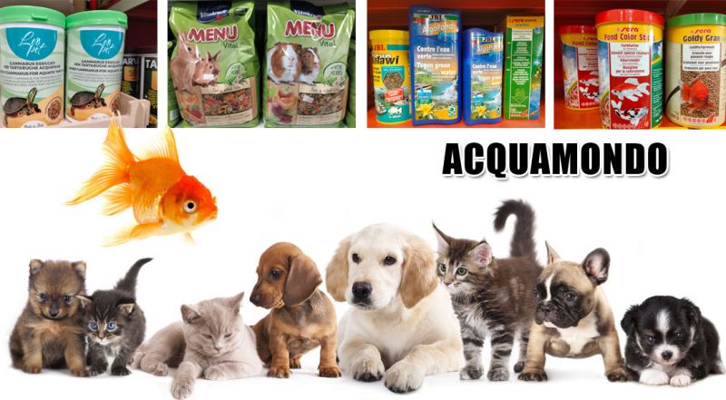 PROMOZIONE ALIMENTI PER ANIMALI DOMESTICI JESI - OFFERTA ACCESSORI PER ANIMALI DOMESTICI  JESI