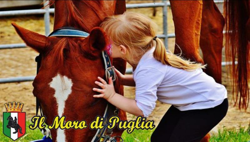 Offerta Maneggio Ippoterapia taranto Puglia - pet therapy cavalli scuola equitazione crispiano