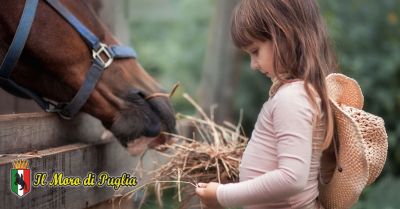  offerta interventi assistiti con il mezzo cavallo crispiano promozione ippoterapia per adulti e bambini puglia