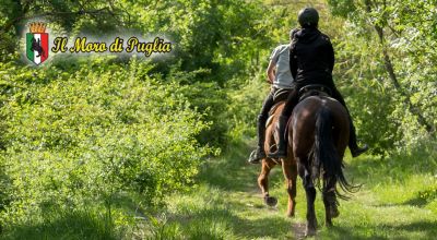 offerta maneggio passeggiata a cavallo crispiano taranto promozione passeggiate a cavallo in puglia crispiano taranto