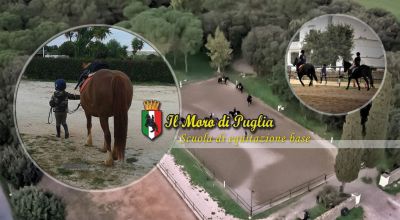  il moro di puglia occasione scuola di equitazione di base taranto promozione lezione di formazione equestre base