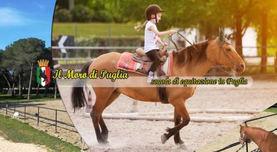 offerta scuola di equitazione in puglia tutto anno taranto promozione lezioni di equitazione taranto