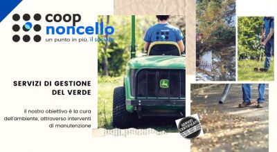  offerta servizio di potatura alberi ad alto fusto a pordenone occasione diserbo di aree pubbliche e private a pordenone