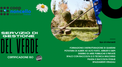  offerta interventi di manutenzione del verde pulizia e raccolta foglie a pordenone occasione manutenzione di arbusti siepi ed annuali potatura alberi a pordenone
