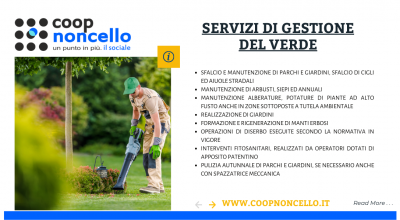  offerta servizi di gestione del verde pubblico pordenone occasione gestione aree verdi pordenone