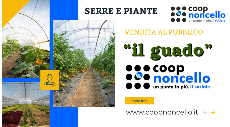 Offerta orto sostenibile il Guado Pordenone – occasione floricoltura vendita piante Pordenone