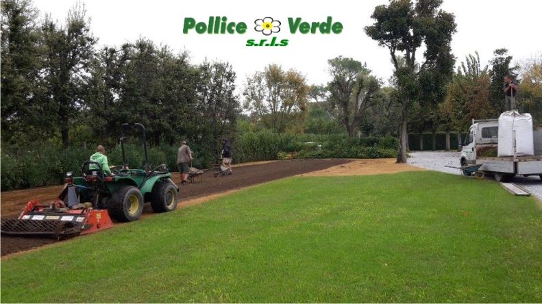 Offerta manutenzione aree verdi Viareggio