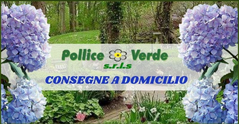 consegna a domicilio piante fiori Viareggio e Versilia - consegna a domicilio Forte dei Marmi e Pietrasanta