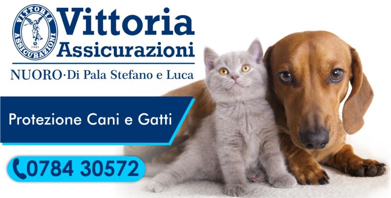 Polizza assicurativa animali domestici agenzia Vittoria