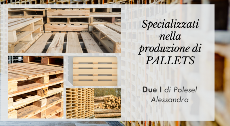   Offerta vendita di pallet in legno Pordenone – occasione produzione pallet in legno su misura Pordenone