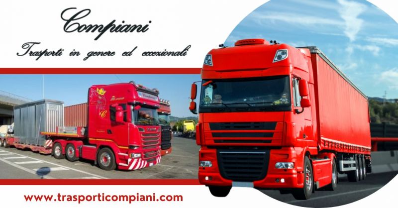 Offerta azienda italiana specializzata in trasporti stradali di container in Italia ed Estero