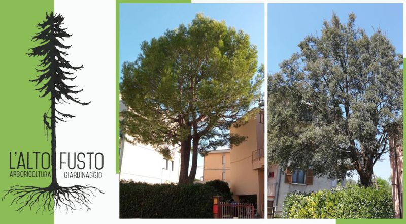 offerta servizi di giardinaggio ancona - occasione realizzazione e manutenzione giardini ancona