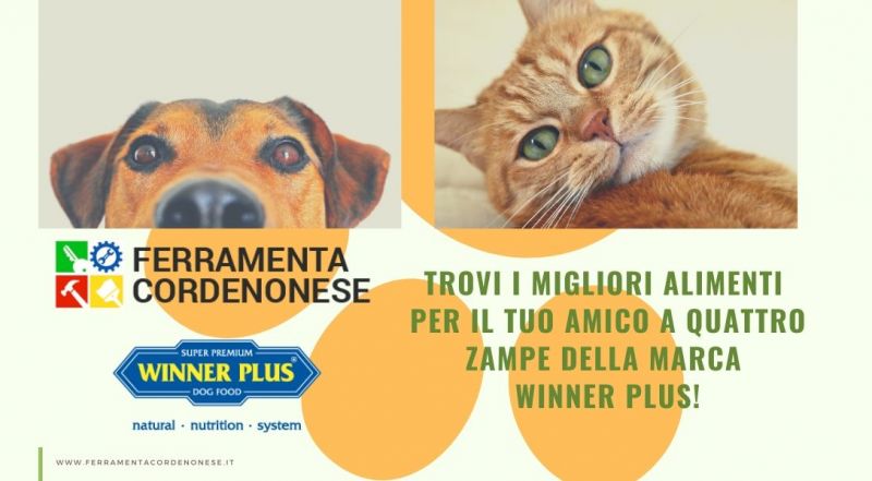  Vendita alimenti per gatti winner plus Pordenone - Occasione vendita alimenti per cani winner plus Pordenone