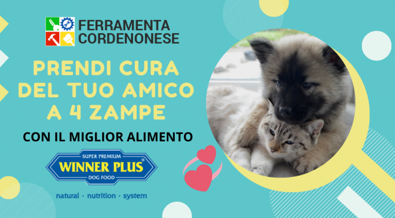 Vendita cibo cani gatti winner plus Pordenone – Occasione alimenti naturali per animali Pordenone