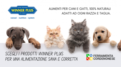  vendita cibo cani a gatti winner plus pordenone occasione alimenti per animali naturali al 100 pordenone
