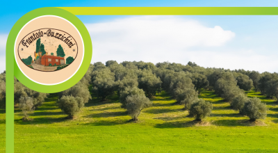 offerta produzione frantoio olio extravergine di oliva citta di castello occasione frantoio produzione olio perugia