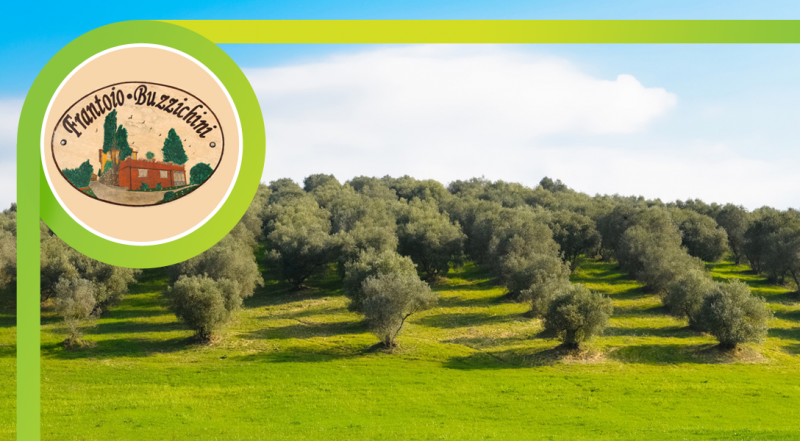offerta produzione frantoio olio extravergine di oliva città di castello - occasione frantoio produzione olio perugia