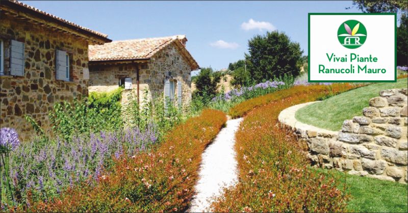 ranucoli piante offerta progettazione giardini - occasione manutenzione spazi verdi perugia