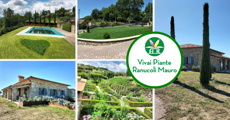 Progettazione giardini a Citta di Castello