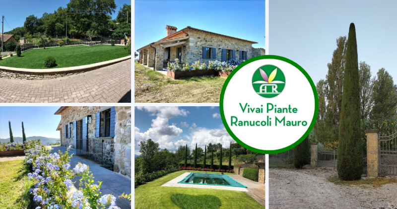 Servizio giardinaggio professionale per privati a Umbertide