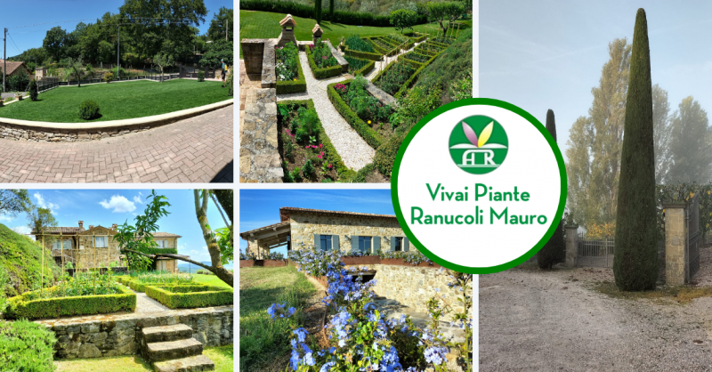 Manutenzione e realizzazione di spazi verdi a Umbertide
