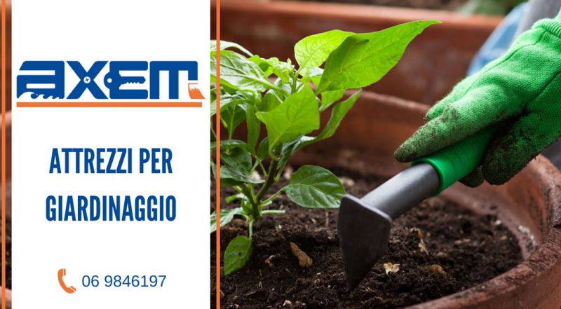  Offerta Prodotti e Attrezzature da Giardinaggio a Latina